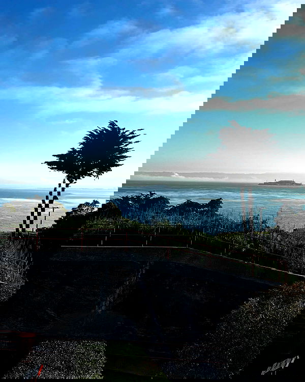 elsgatti image ~ Altpins