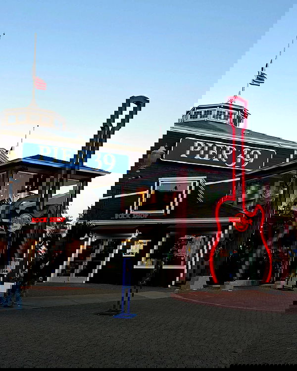 elsgatti image ~ Altpins