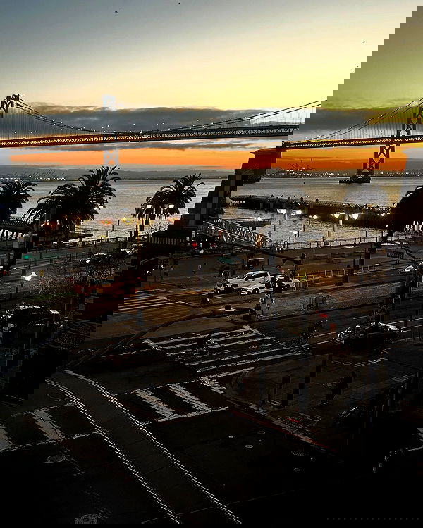 elsgatti image ~ Altpins