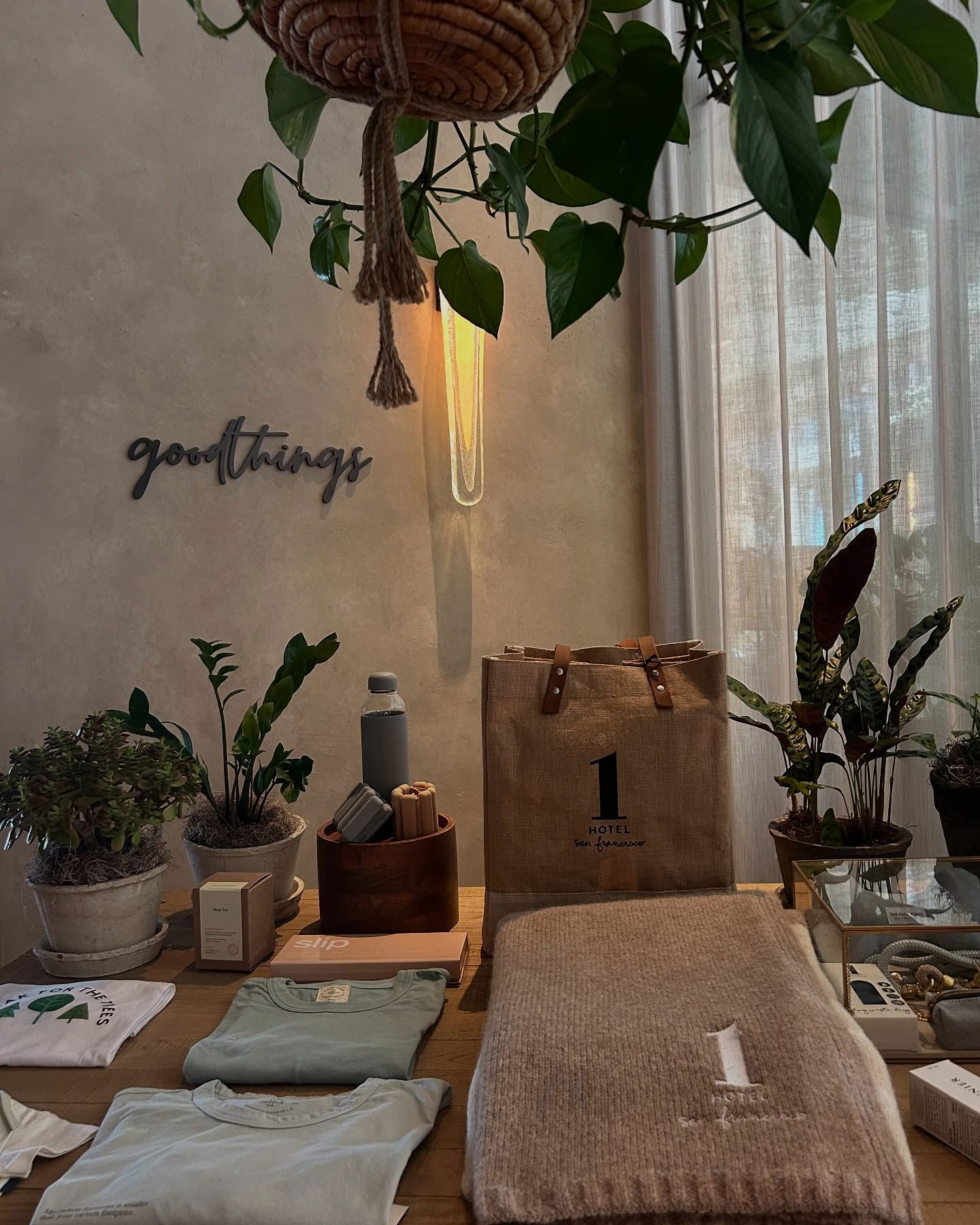 elsgatti instagram image archive image