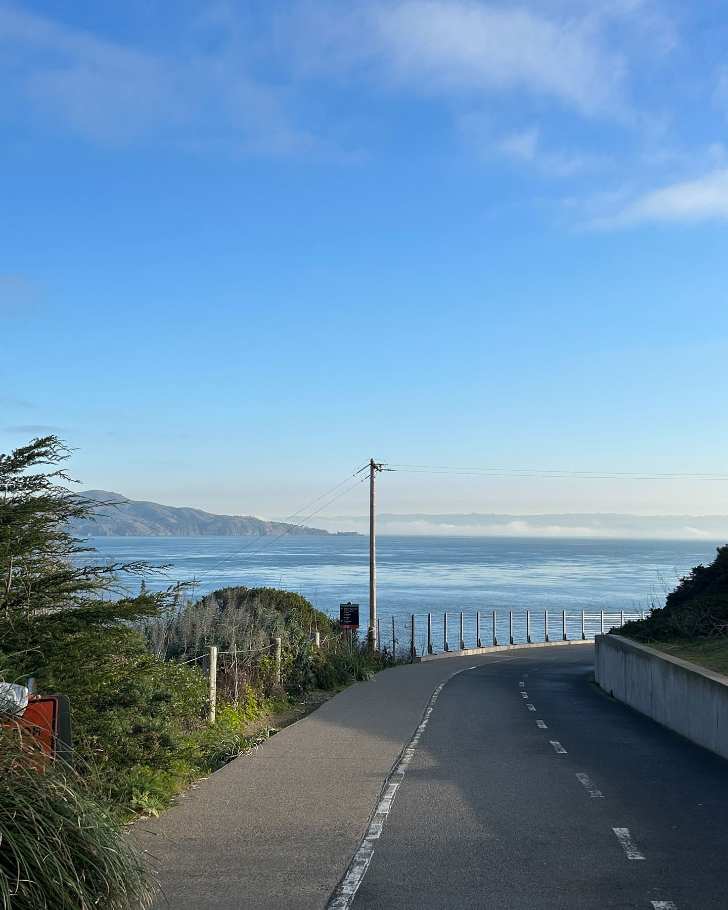 elsgatti instagram image archive image