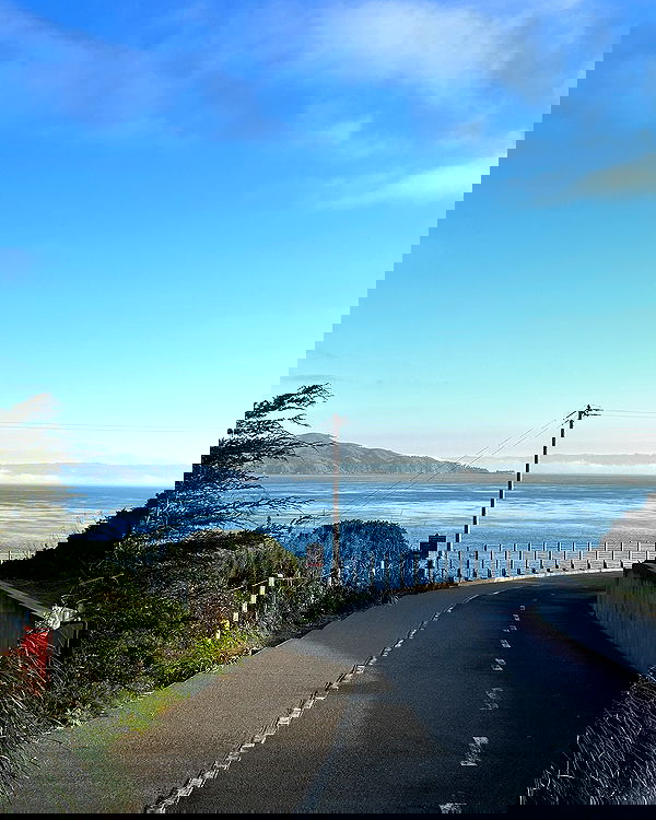 elsgatti image ~ Altpins