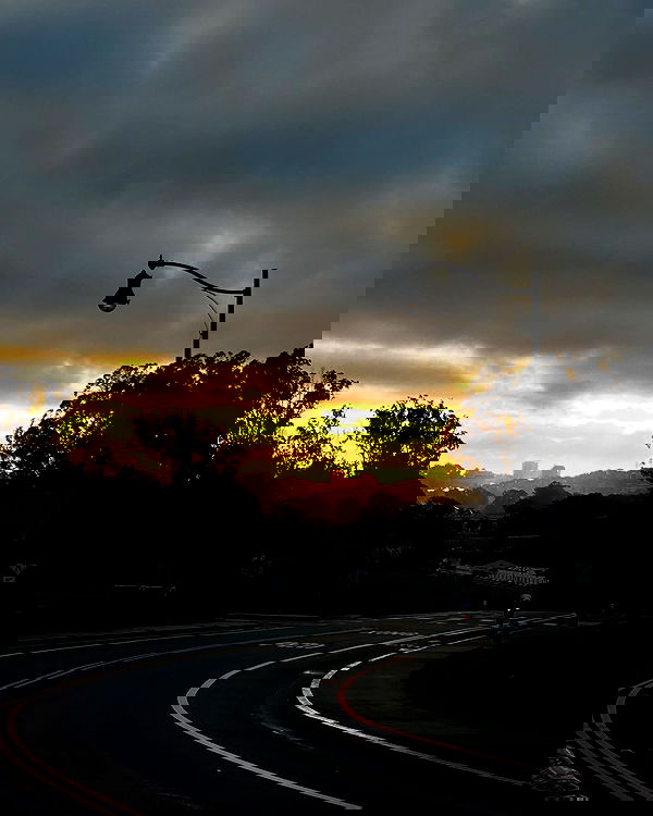 elsgatti image ~ Altpins