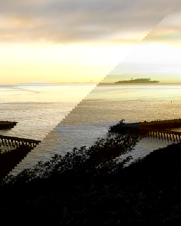 elsgatti image ~ Altpins