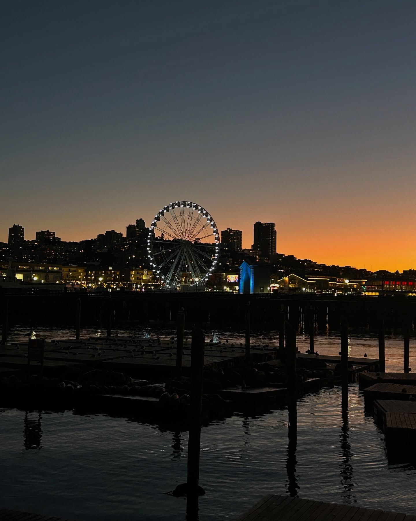 elsgatti instagram image archive image