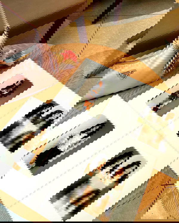 elsgatti image ~ Altpins