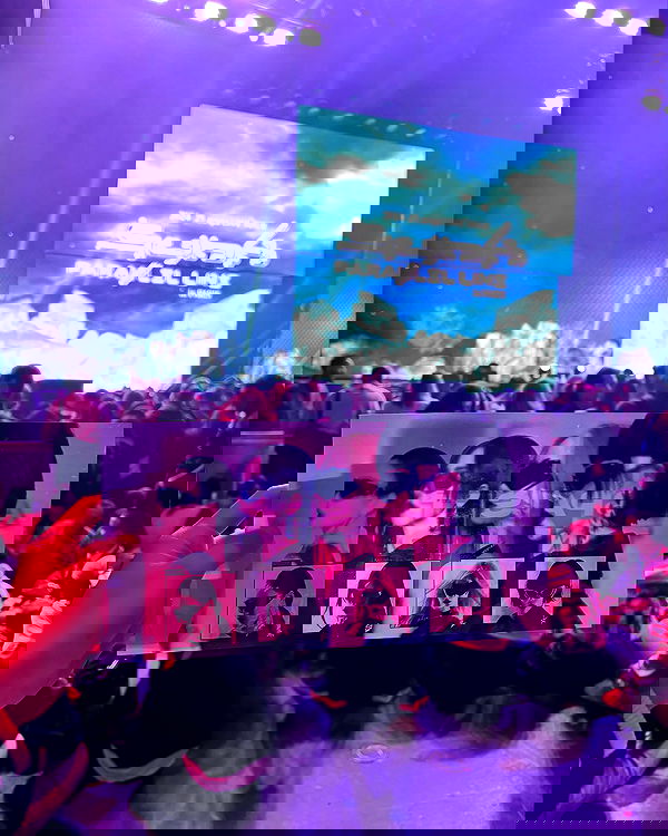 elsgatti image ~ Altpins