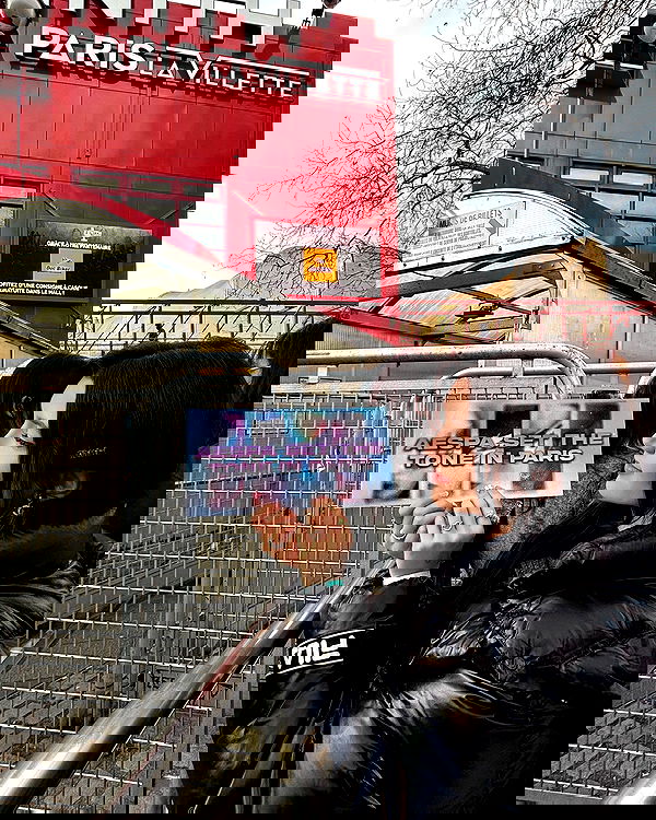 elsgatti image ~ Altpins