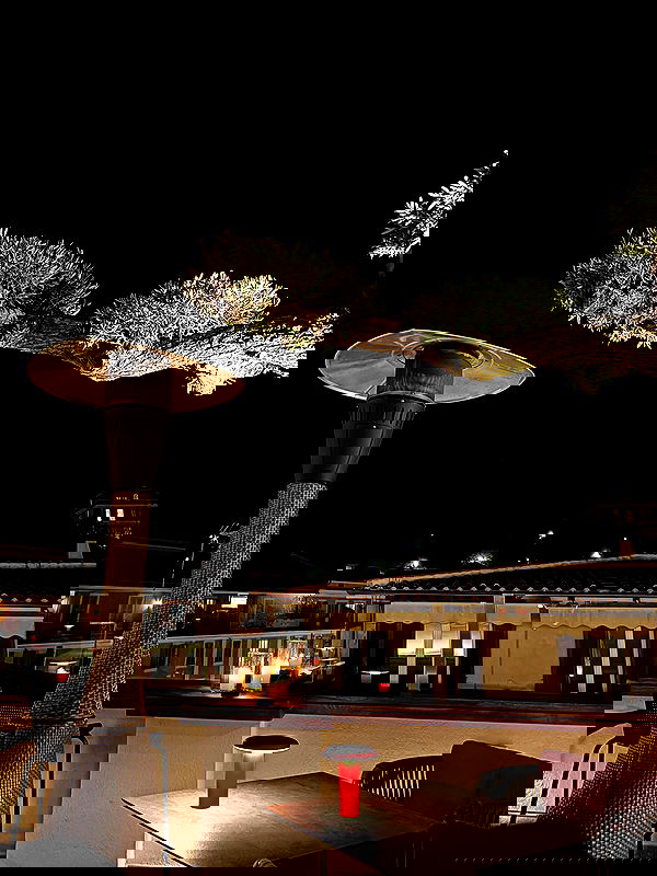 elsgatti image ~ Altpins