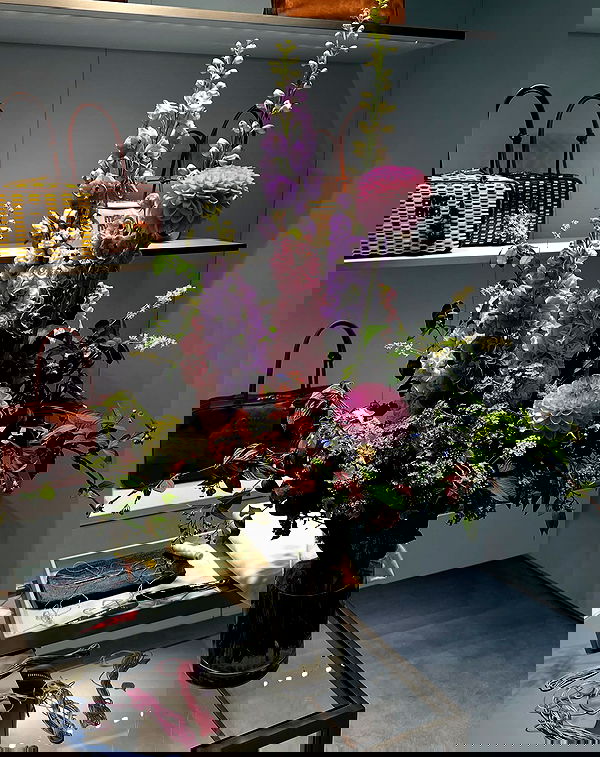 elsgatti image ~ Altpins