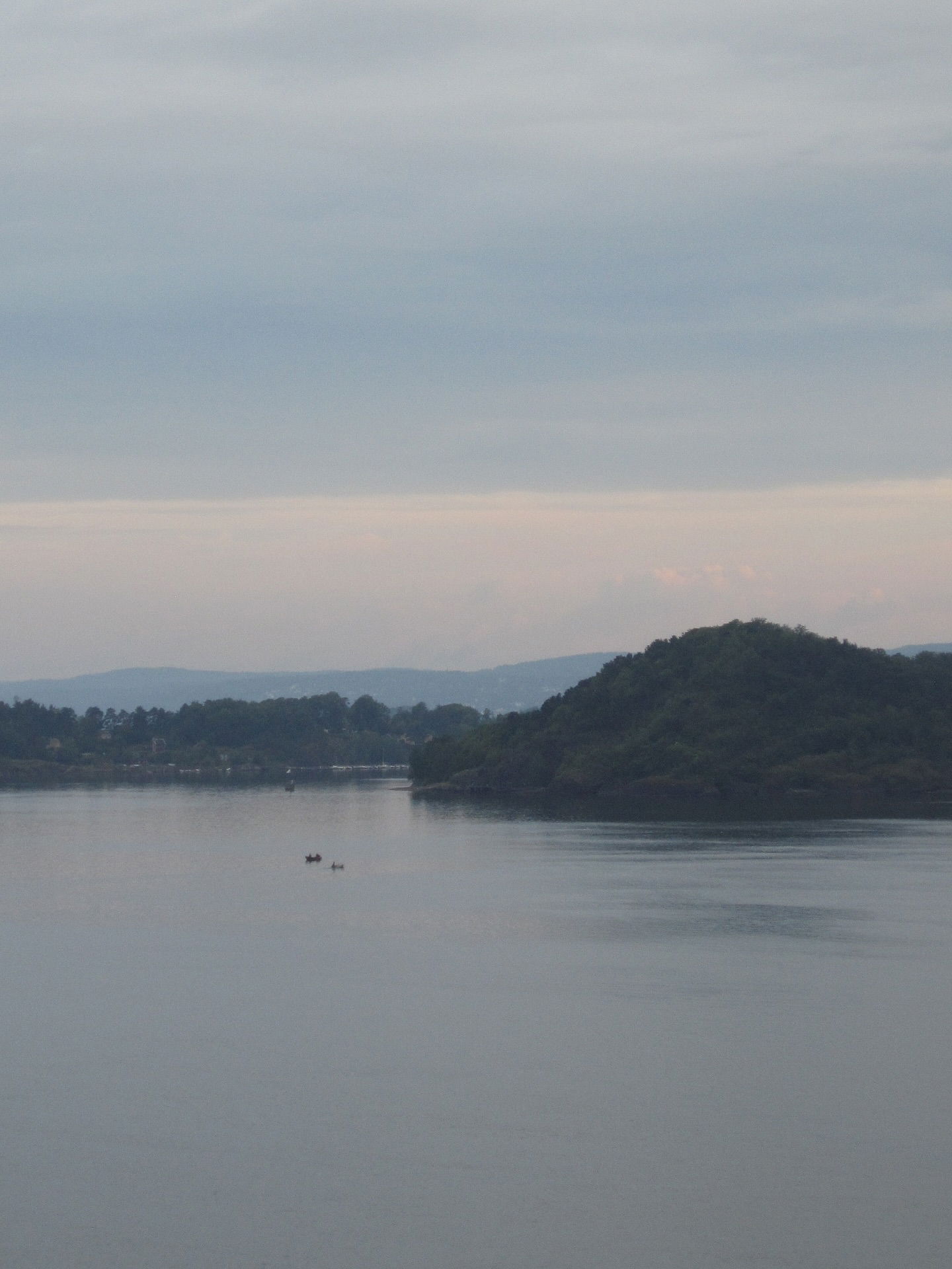 elsgatti instagram image archive image