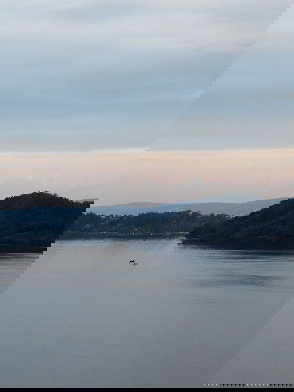 elsgatti image ~ Altpins