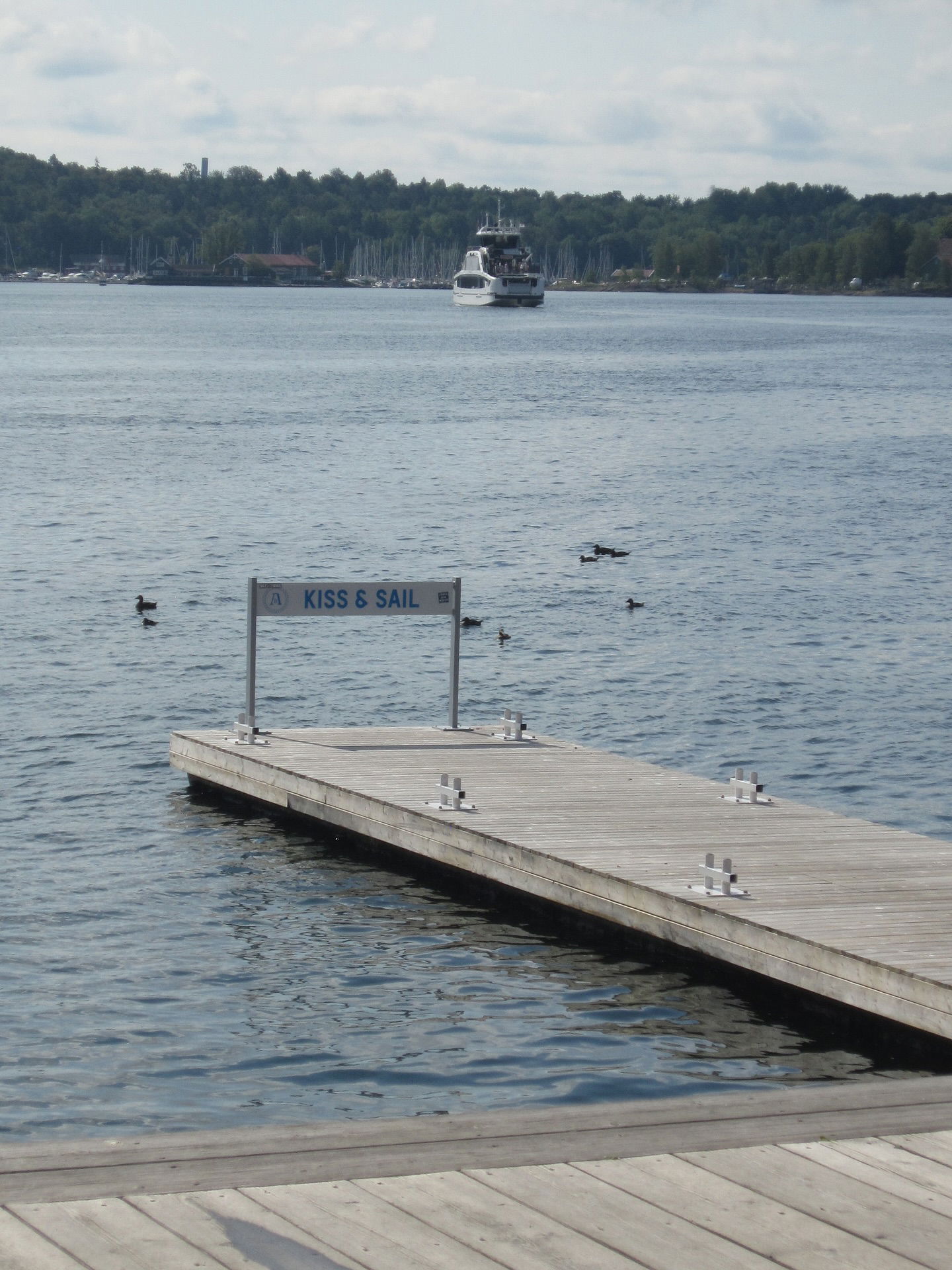 elsgatti instagram image archive image