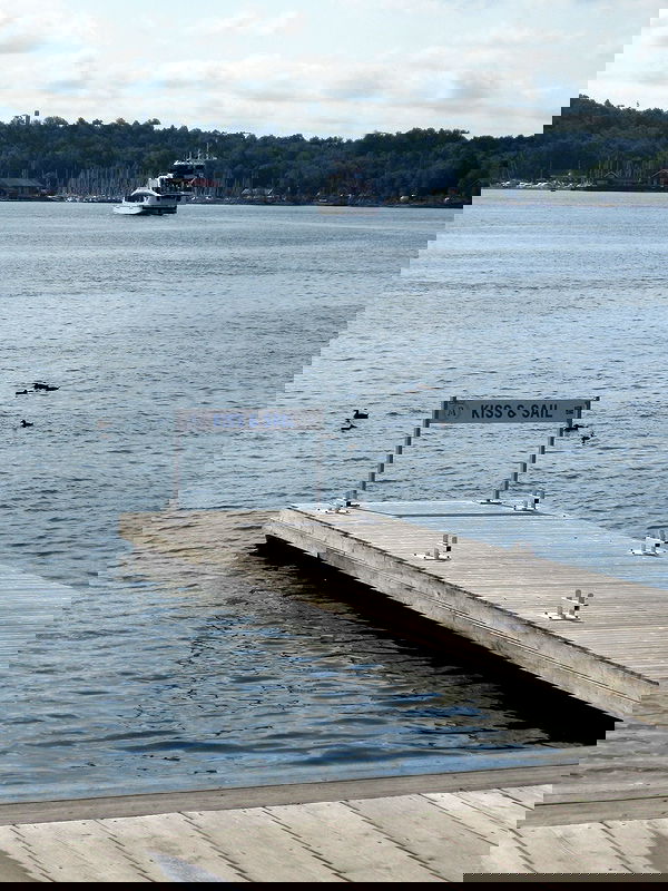 elsgatti image ~ Altpins