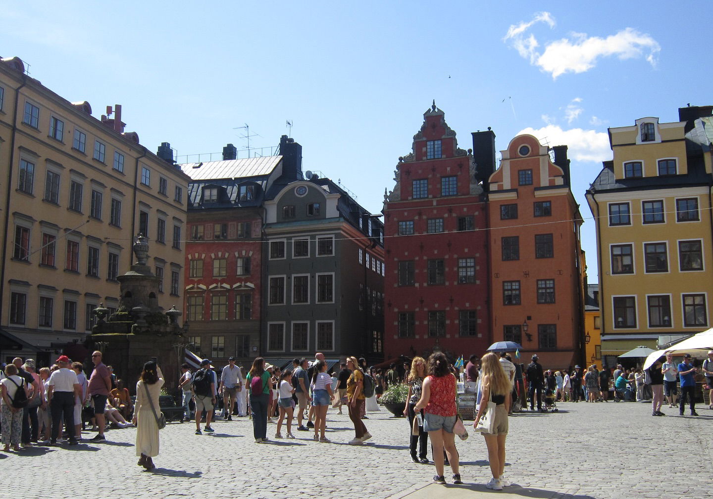 elsgatti instagram image archive image