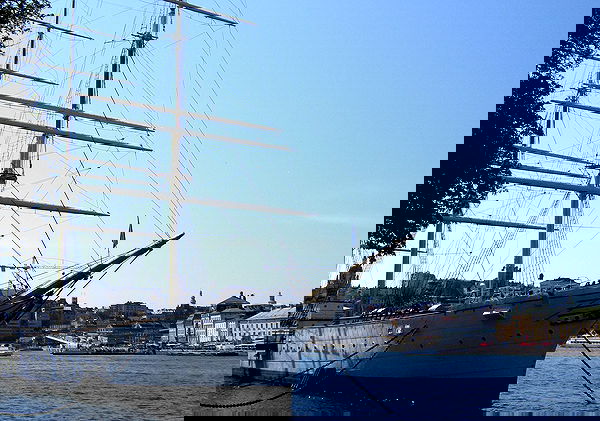 elsgatti image ~ Altpins