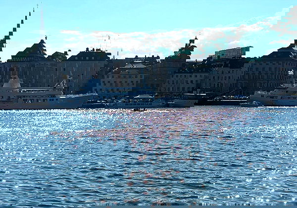 elsgatti image ~ Altpins