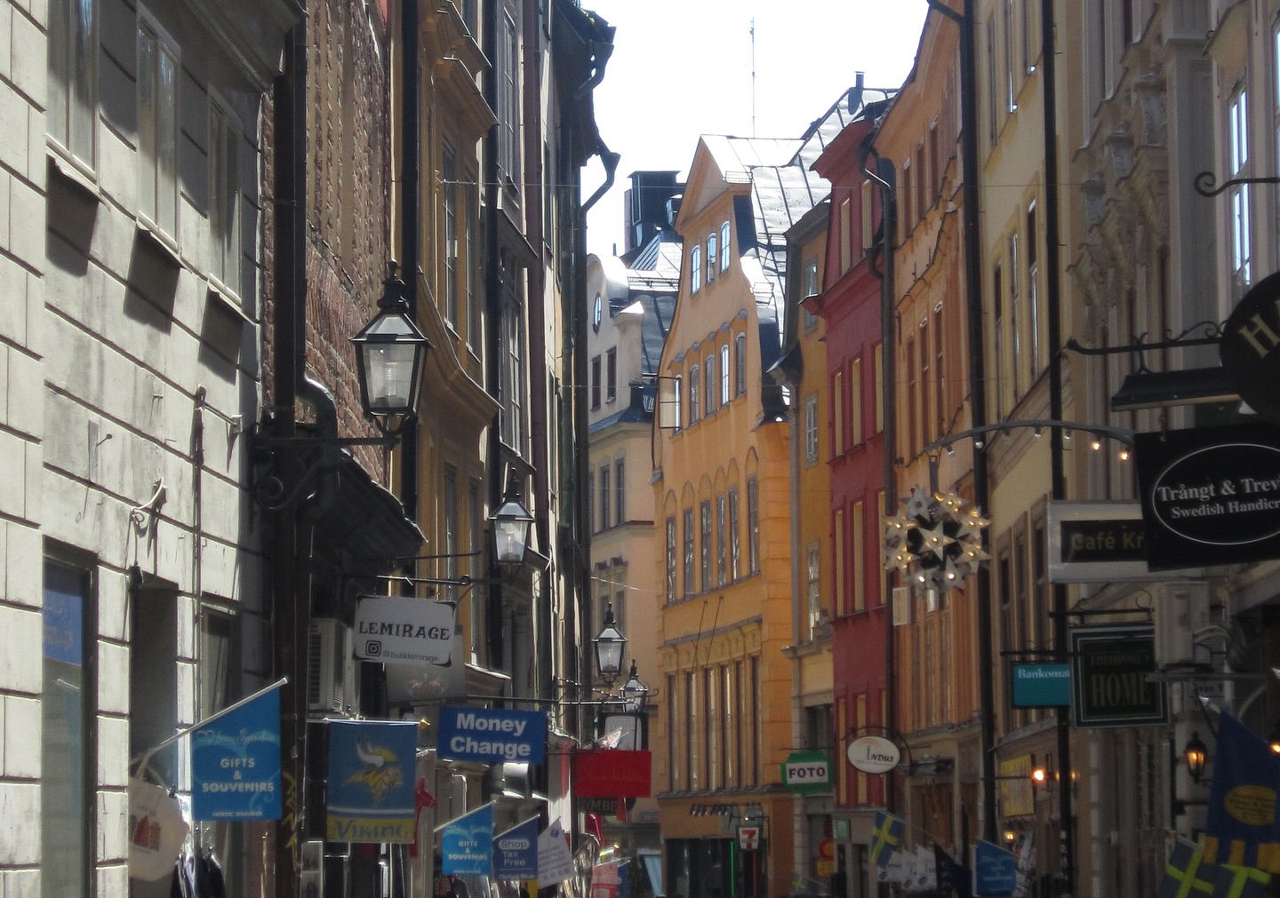 elsgatti instagram image archive image