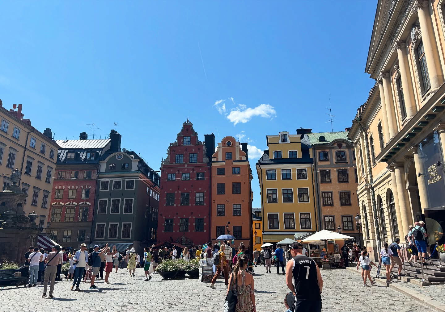 elsgatti instagram image archive image