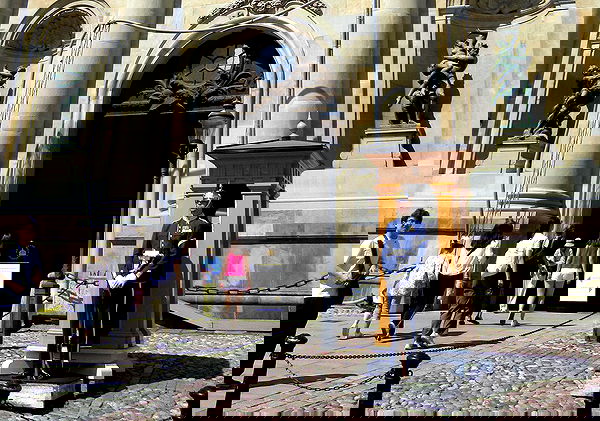 elsgatti image ~ Altpins