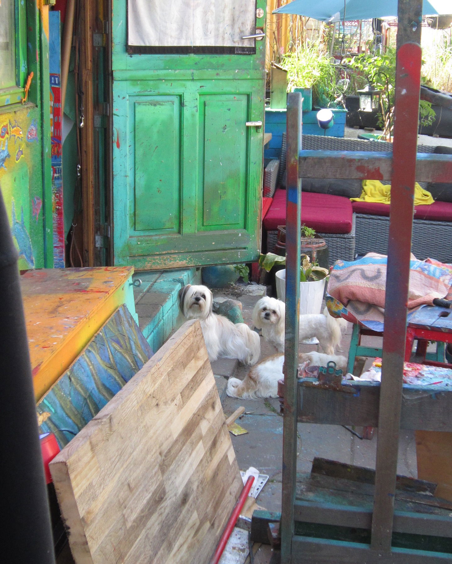 elsgatti instagram image archive image