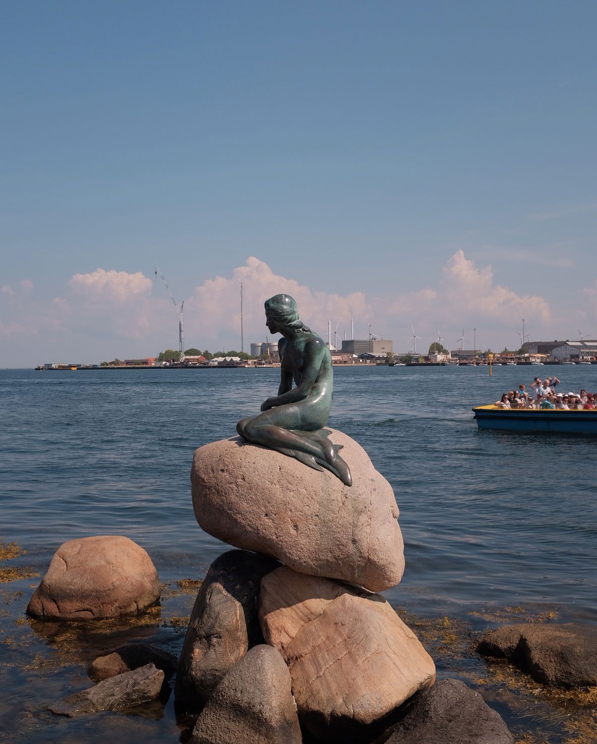 elsgatti instagram image archive image