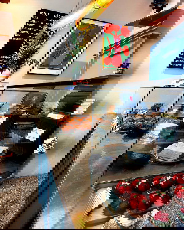 elsgatti image ~ Altpins