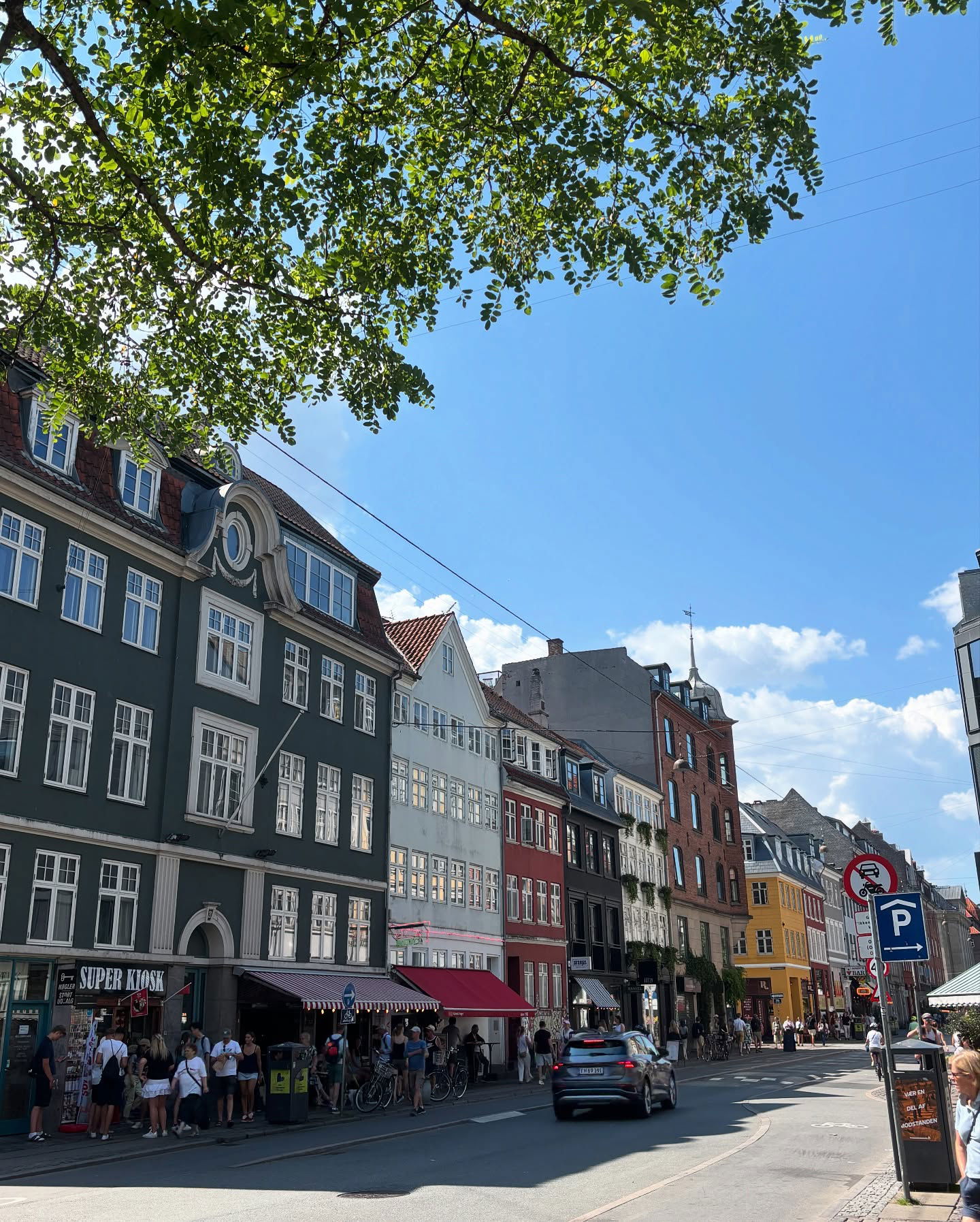 elsgatti instagram image archive image