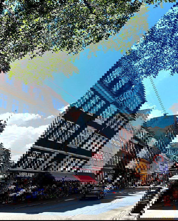 elsgatti image ~ Altpins