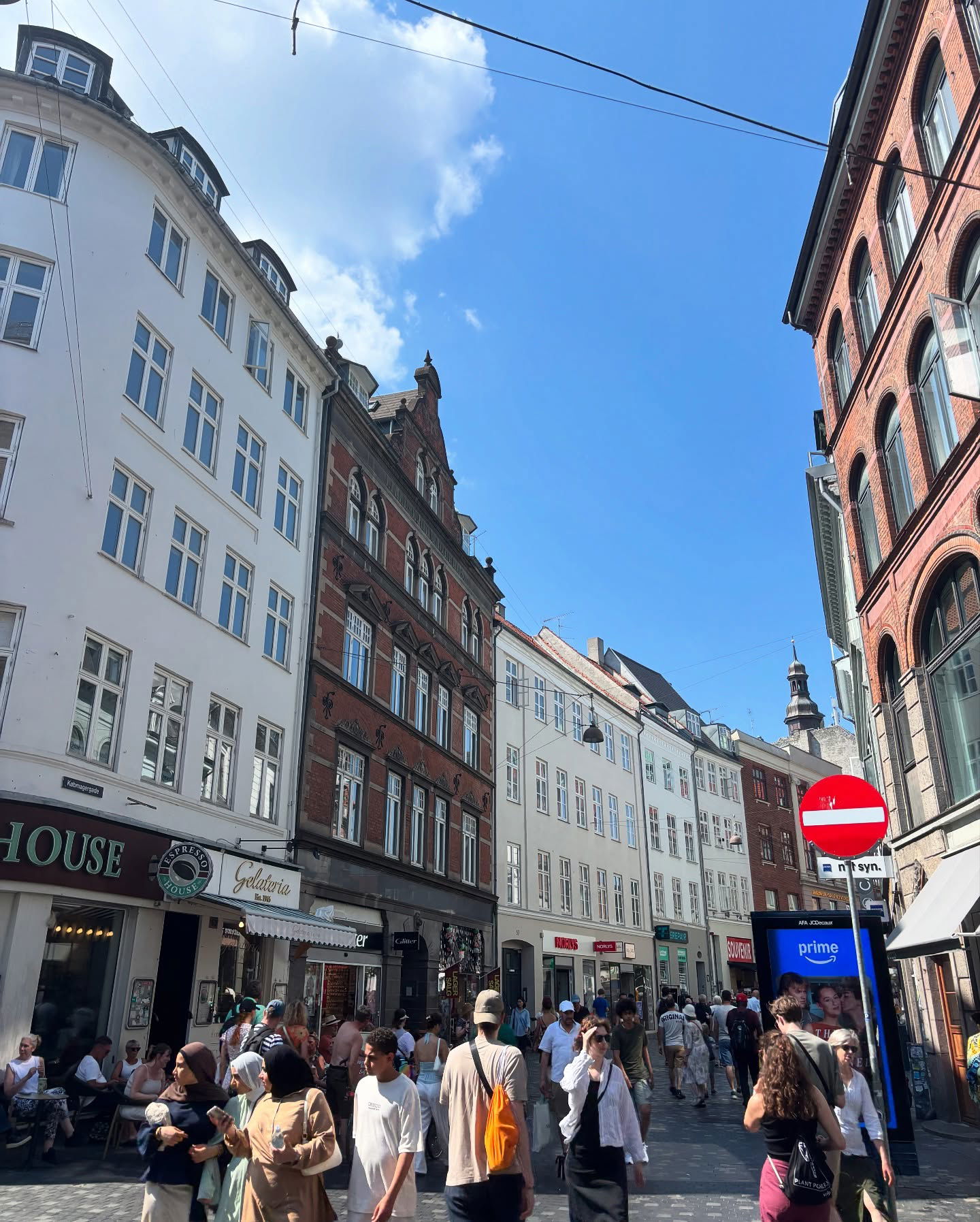 elsgatti instagram image archive image