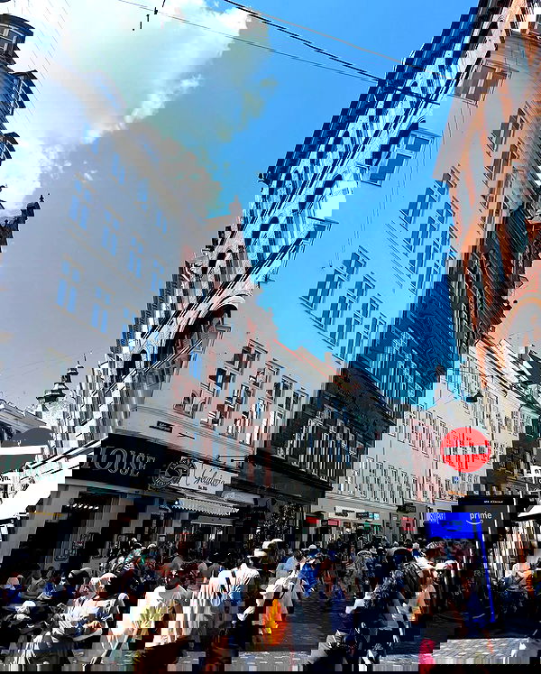 elsgatti image ~ Altpins