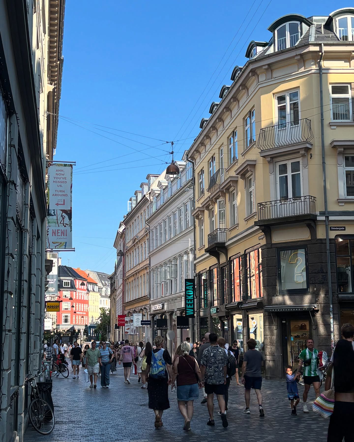 elsgatti instagram image archive image