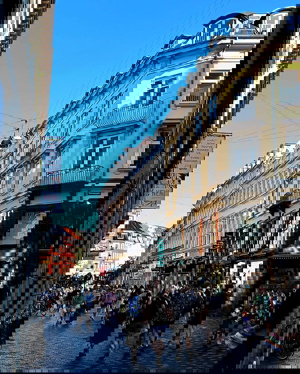 elsgatti image ~ Altpins