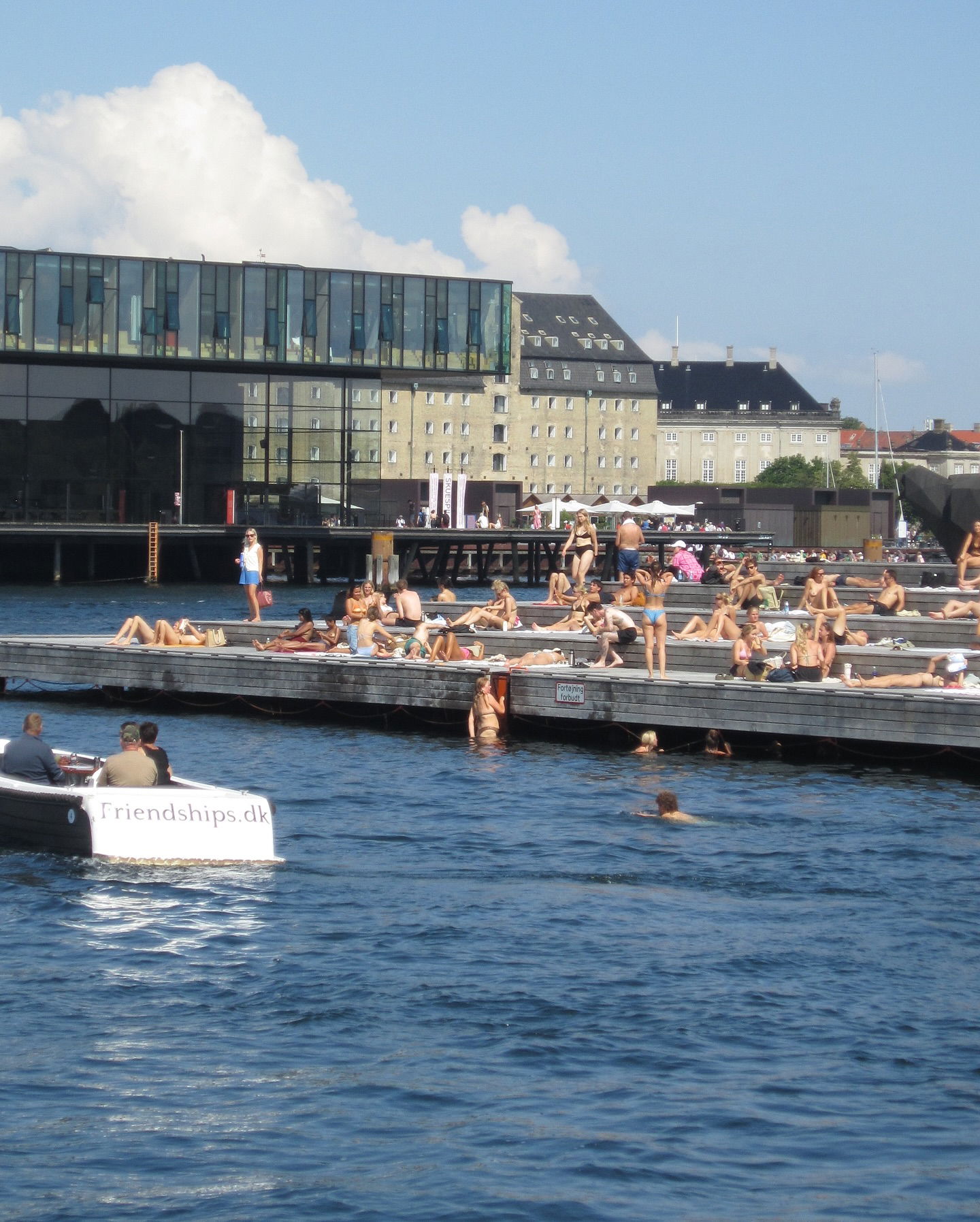 elsgatti instagram image archive image