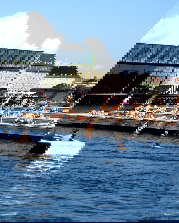 elsgatti image ~ Altpins