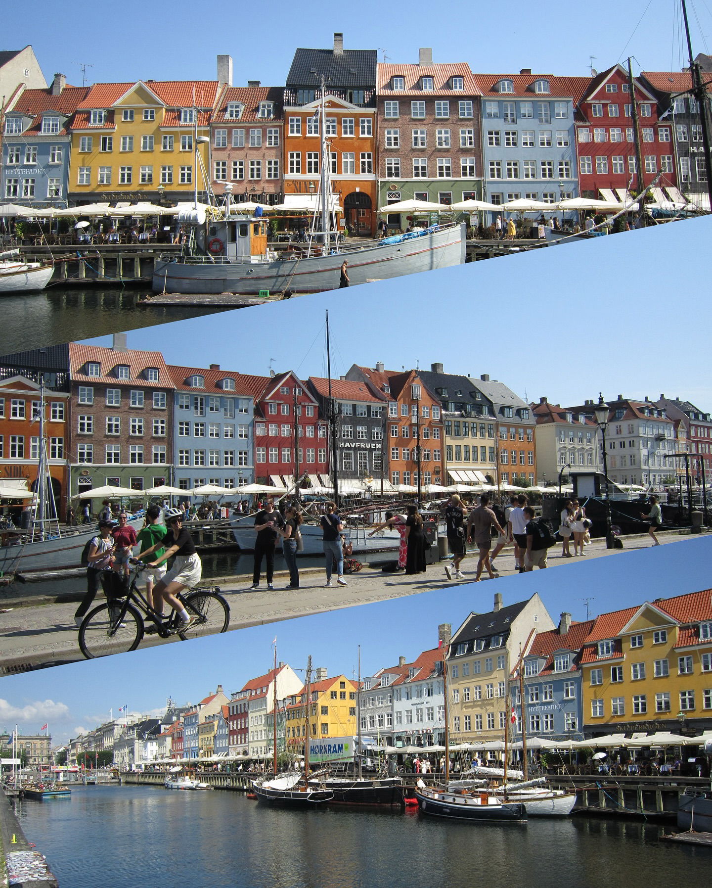 elsgatti instagram image archive image