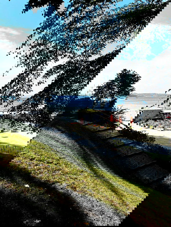 elsgatti image ~ Altpins