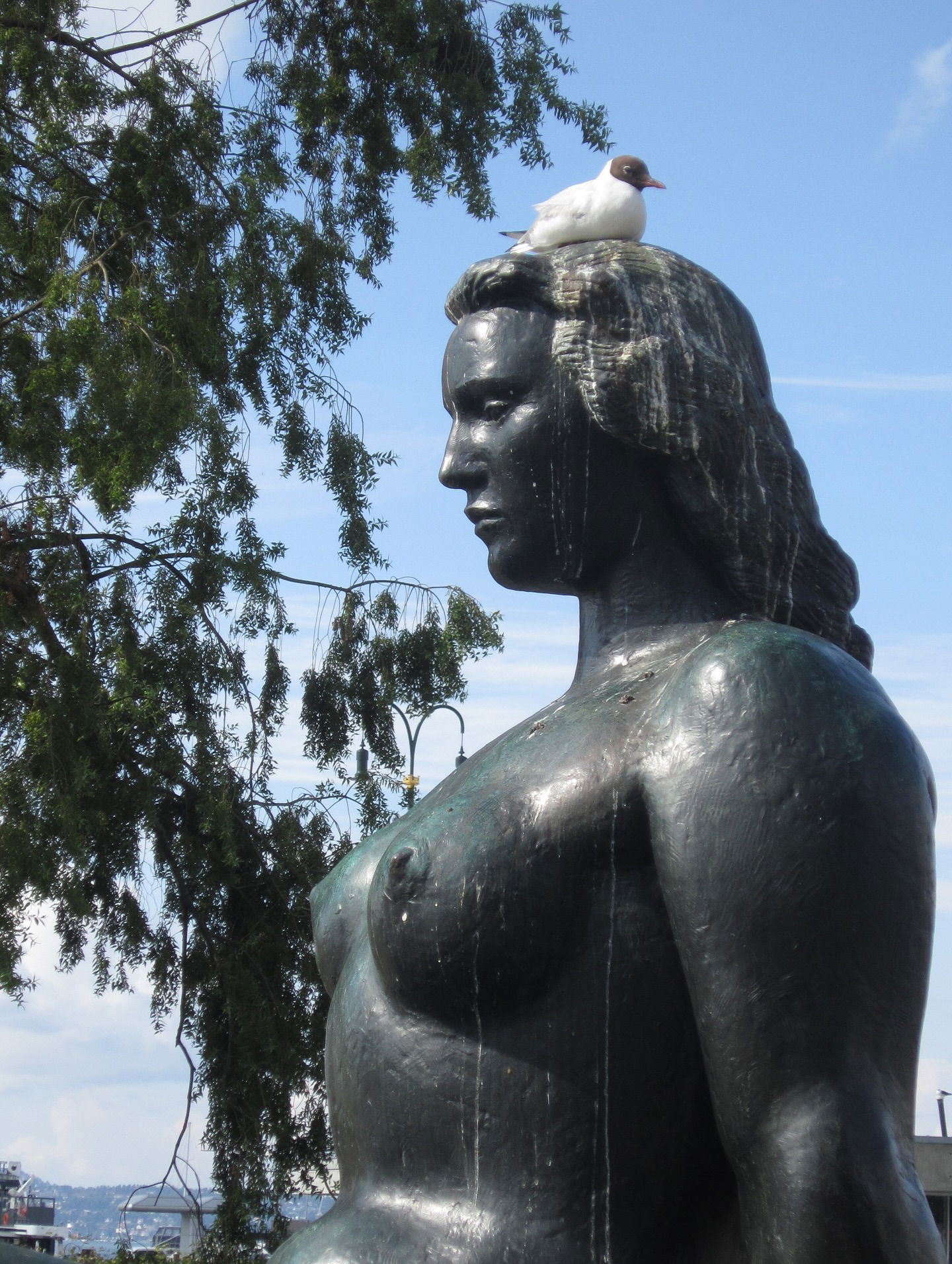 elsgatti instagram image archive image