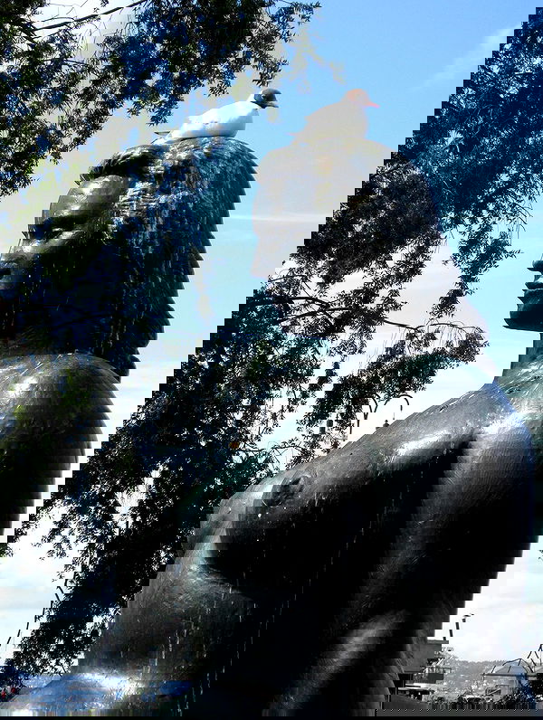 elsgatti image ~ Altpins