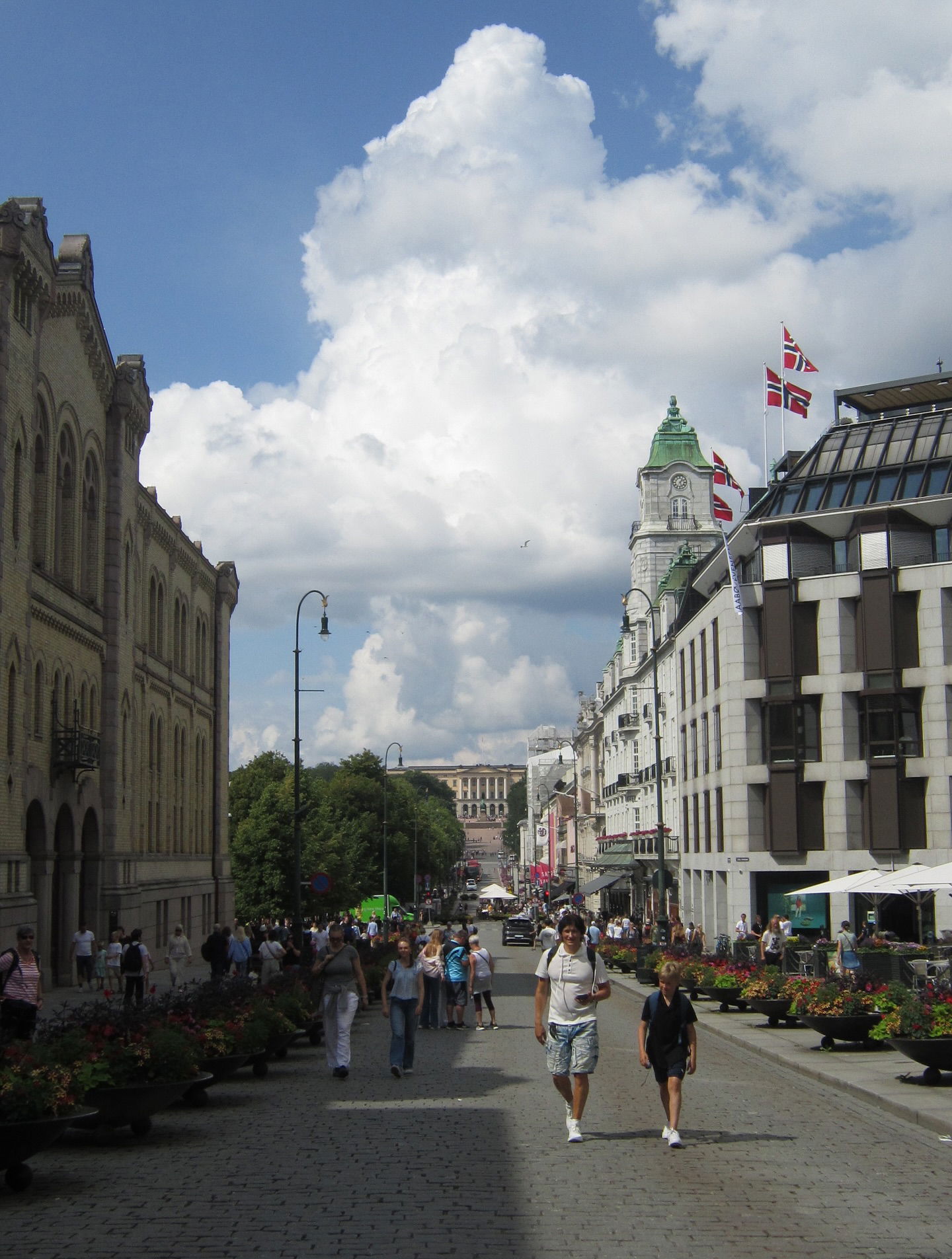 elsgatti instagram image archive image