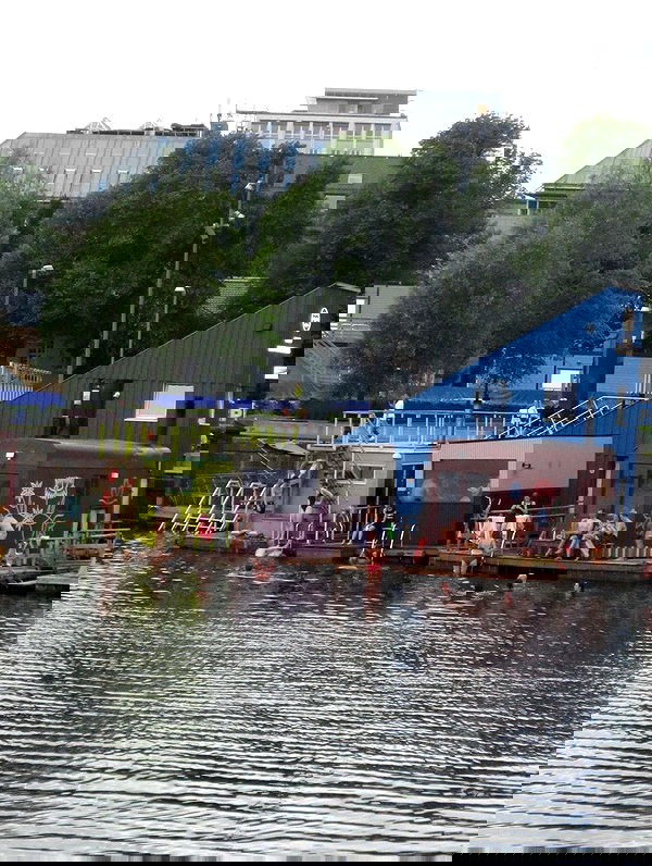 elsgatti image ~ Altpins