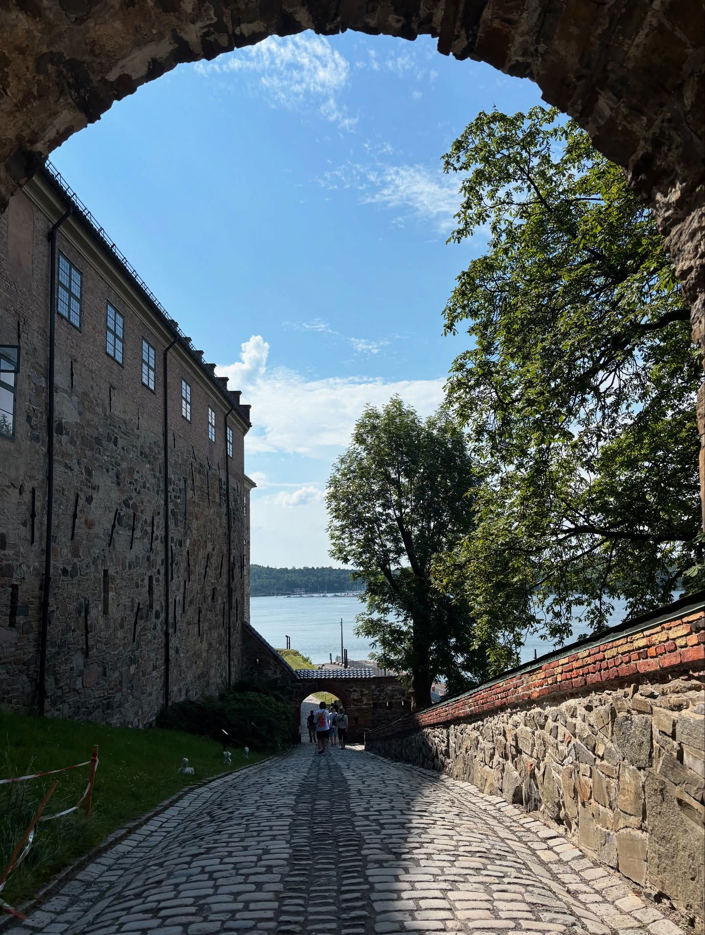 elsgatti instagram image archive image