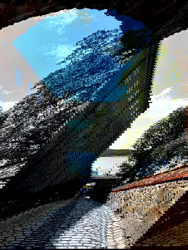 elsgatti image ~ Altpins