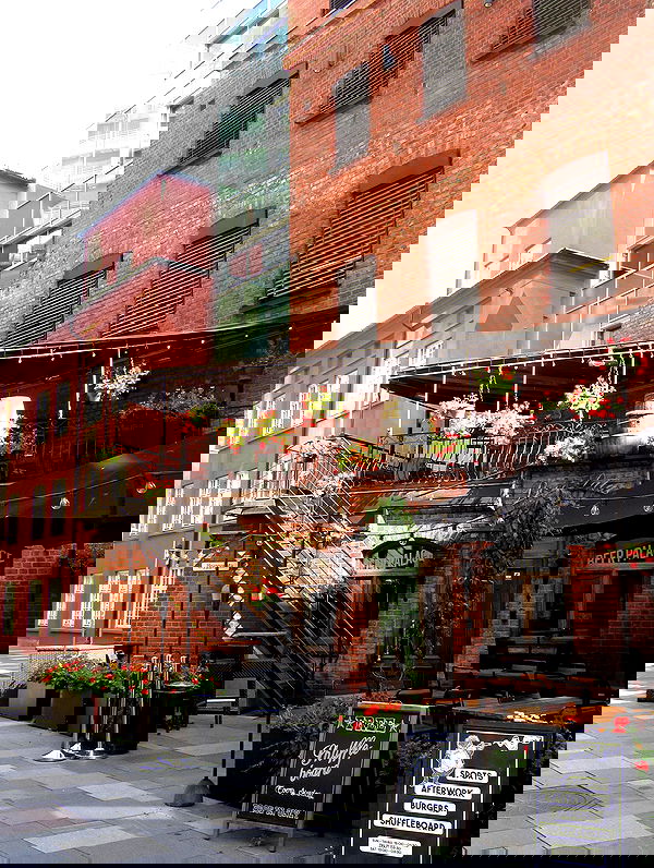 elsgatti image ~ Altpins