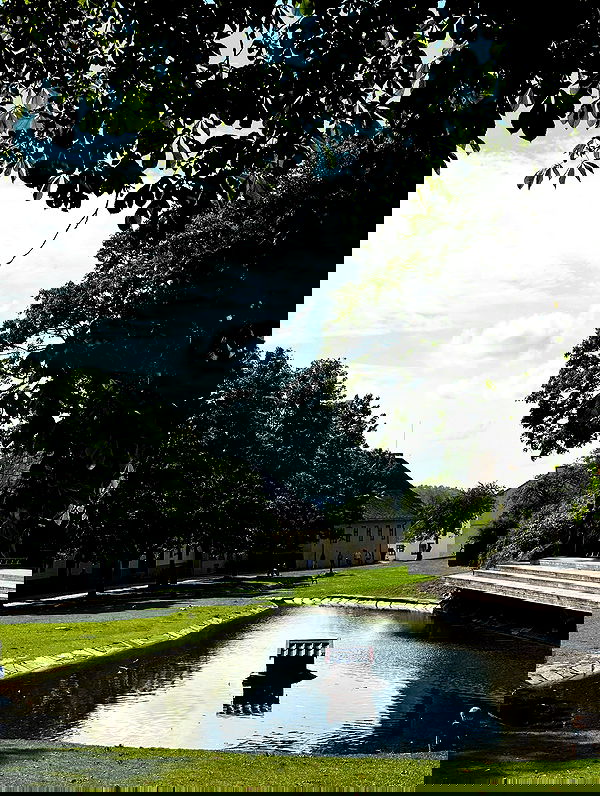 elsgatti image ~ Altpins