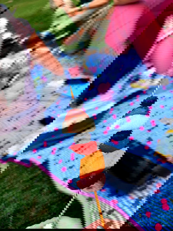 elsgatti image ~ Altpins