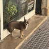 emelyeender Altpins Profile Picture