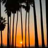 emelyeender Altpins Profile Picture