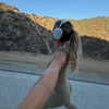 emelyeender Altpins Profile Picture