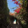 emelyeender Altpins Profile Picture